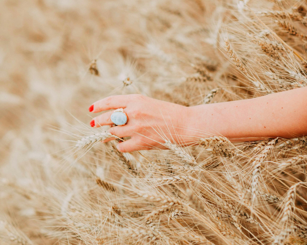 【小麦アレルギーかも？Vol.1／4】小麦アレルギーとは？グルテン不耐症との違いと原因