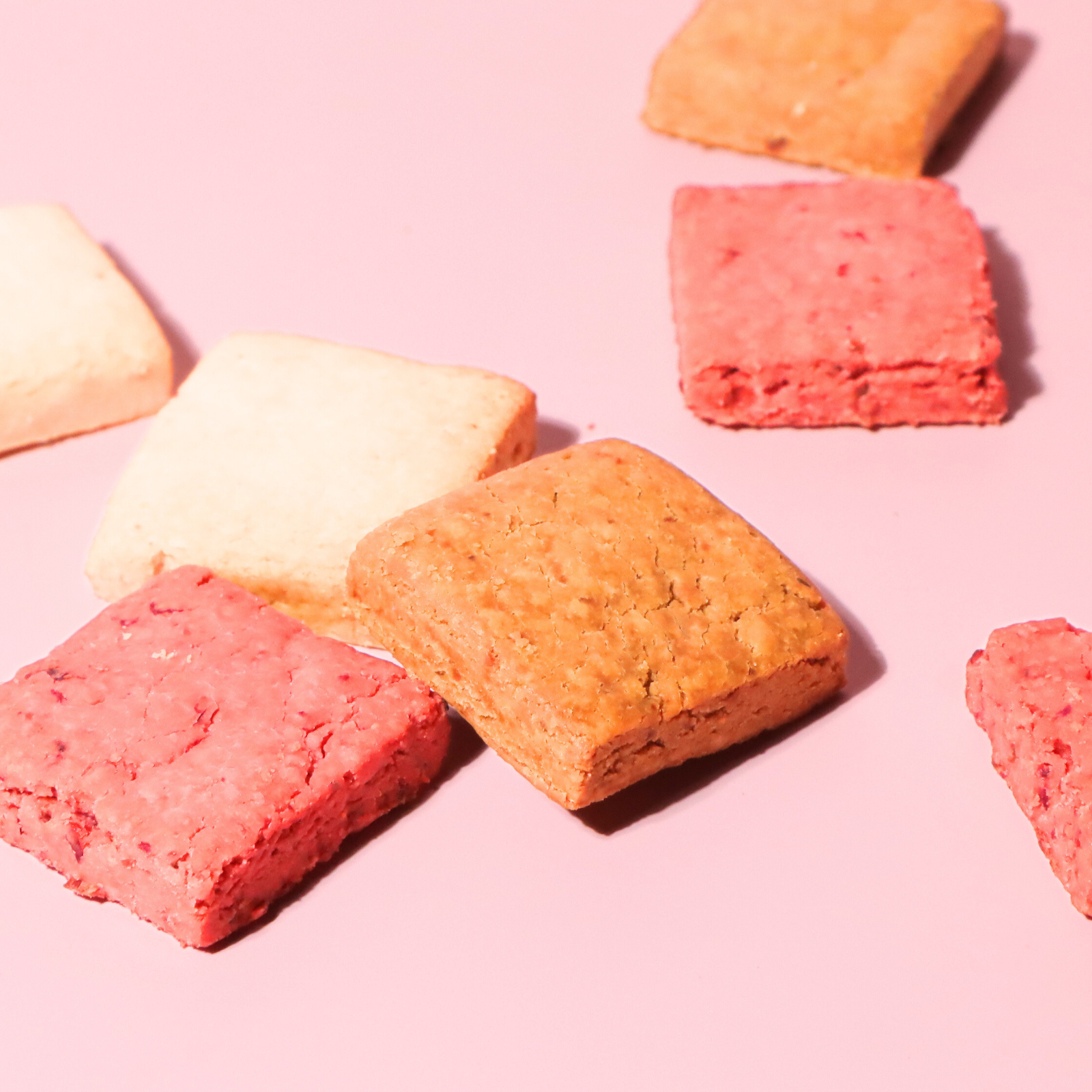 酒粕クッキー 6枚入りギフトセット <2025お中元>