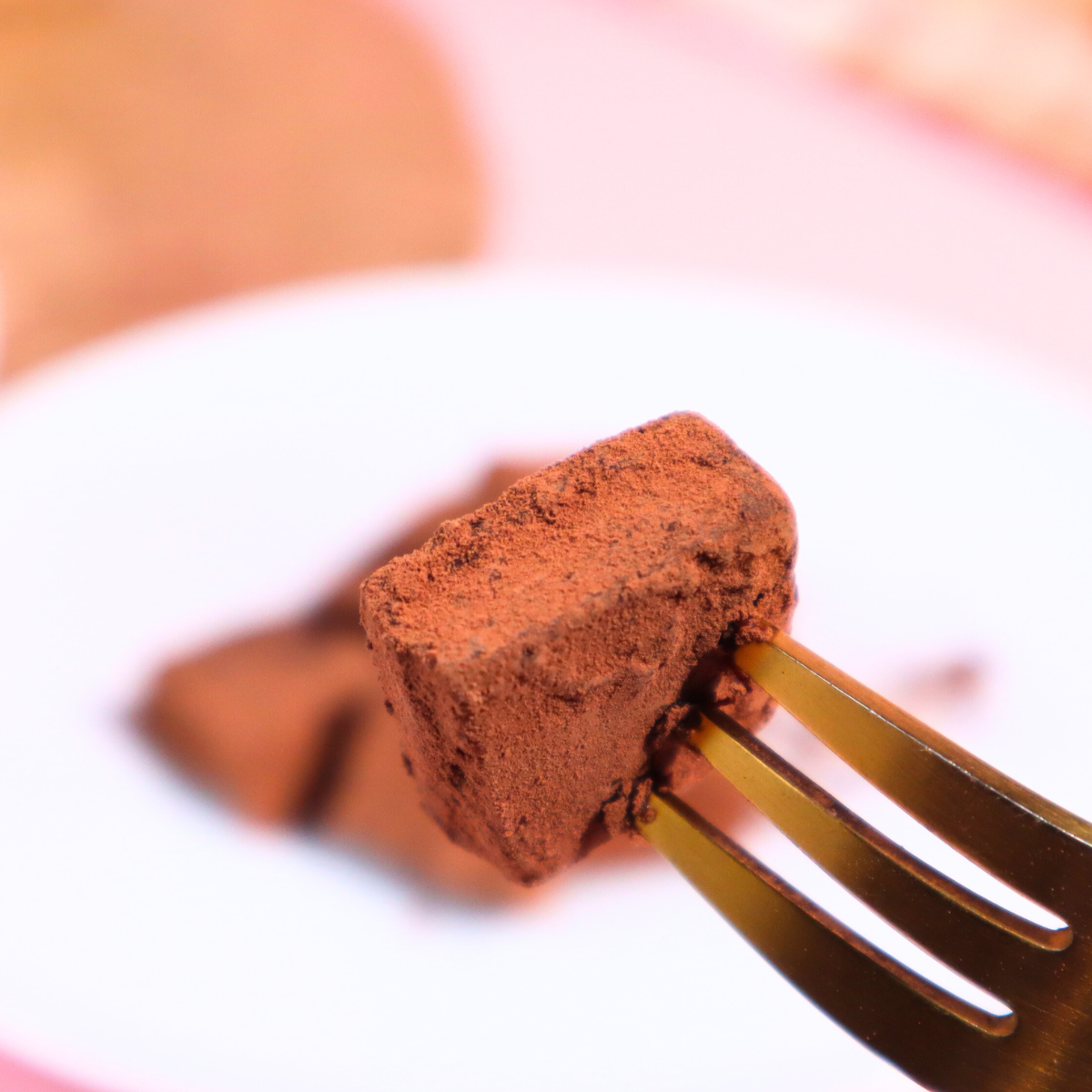 生チョコ Vegan Truffles