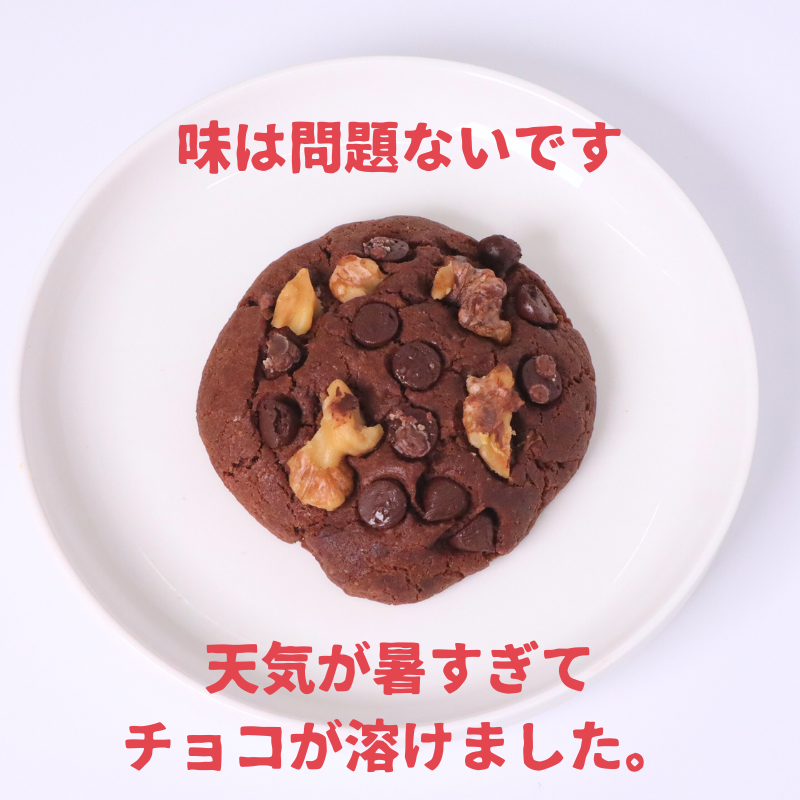 【訳あり】チョコのソフトクッキー