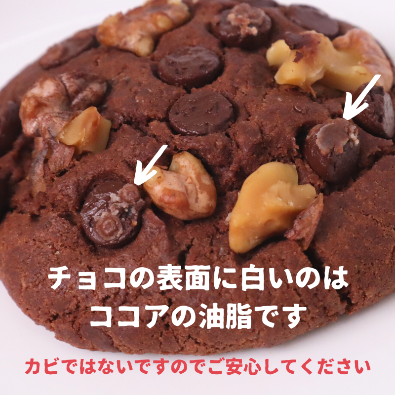 【訳あり】チョコのソフトクッキー