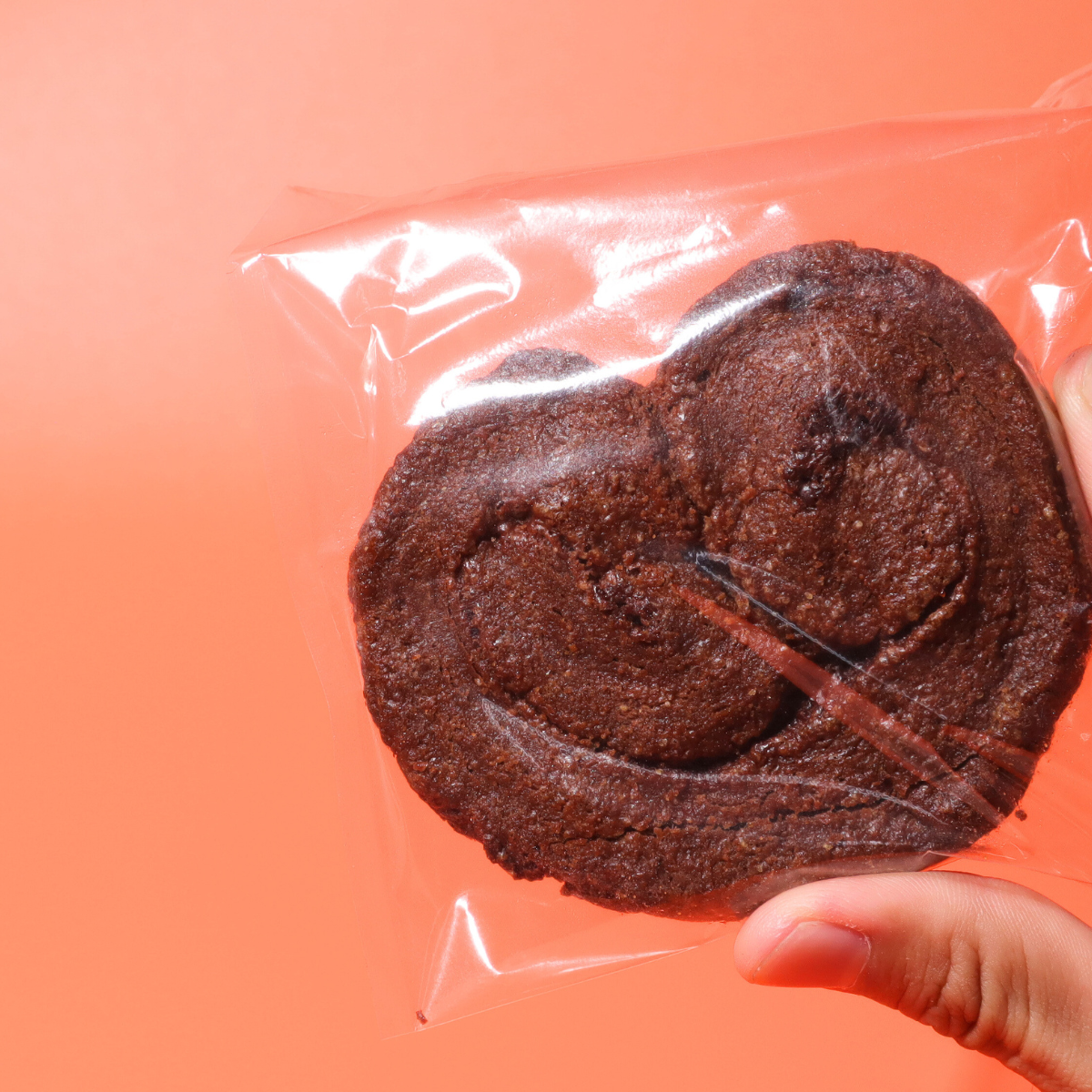 松竹圓 グランパルミエ（3枚入り）_チョコ