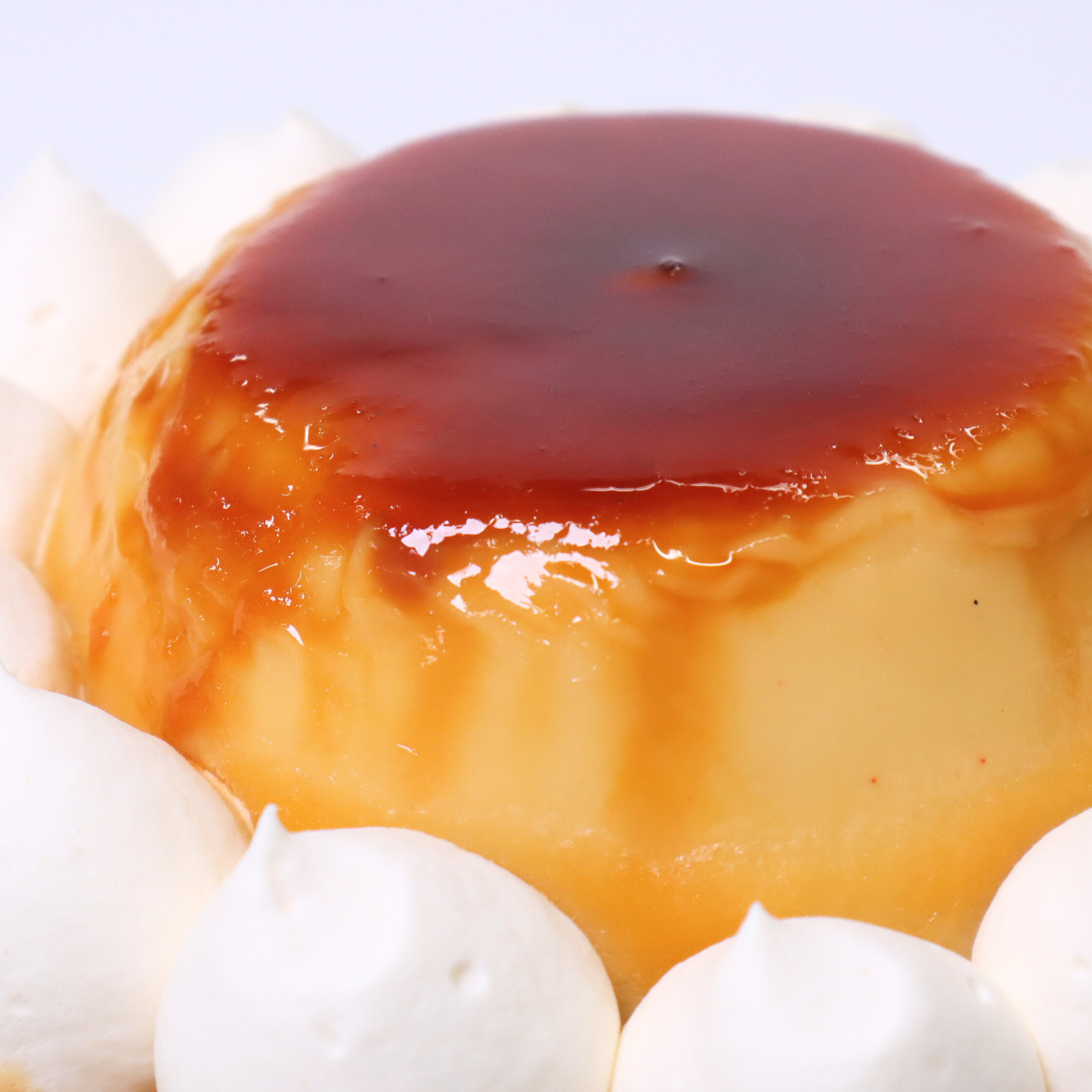 プリンタルト
