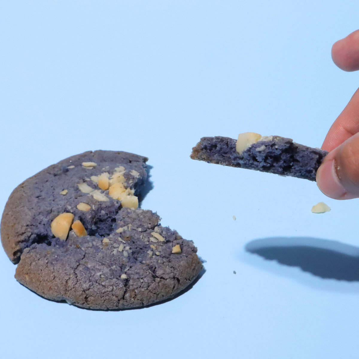 ソフトクッキー_海